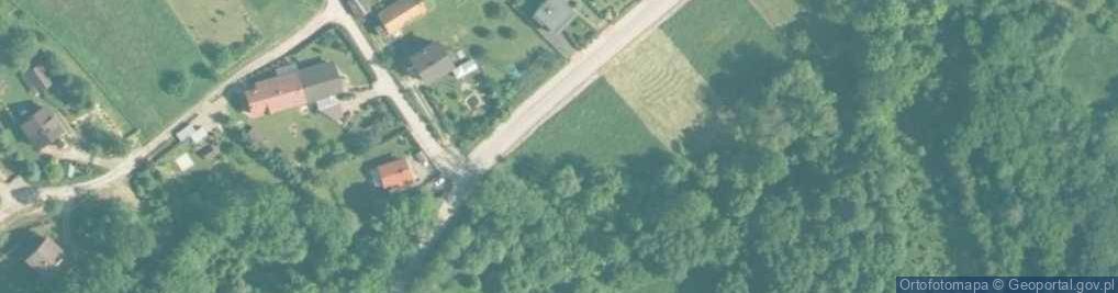 Zdjęcie satelitarne Gorzeń Dolny