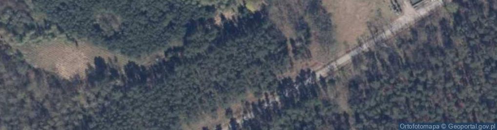 Zdjęcie satelitarne Goszkówek