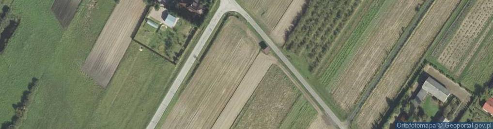 Zdjęcie satelitarne Grądy (powiat łęczyński)