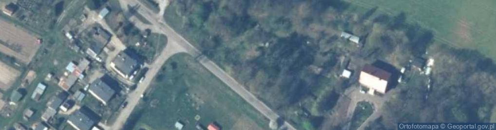 Zdjęcie satelitarne Gudniki (powiat ostródzki)