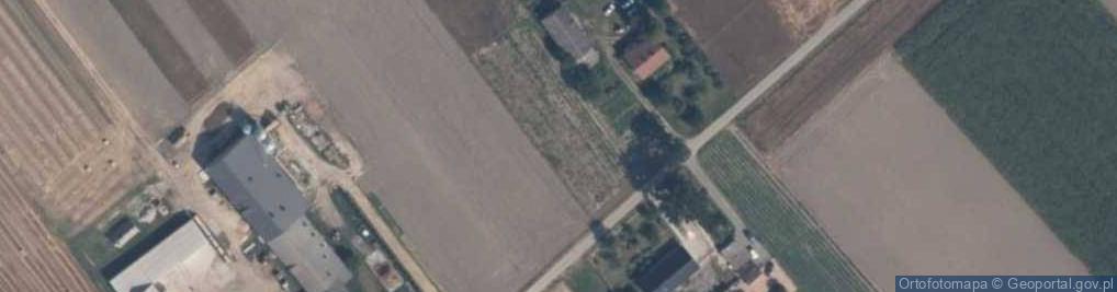 Zdjęcie satelitarne Guzew (powiat płocki)