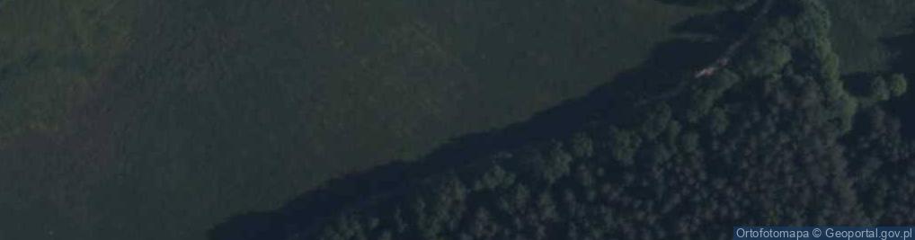 Zdjęcie satelitarne Guzki (powiat piski)