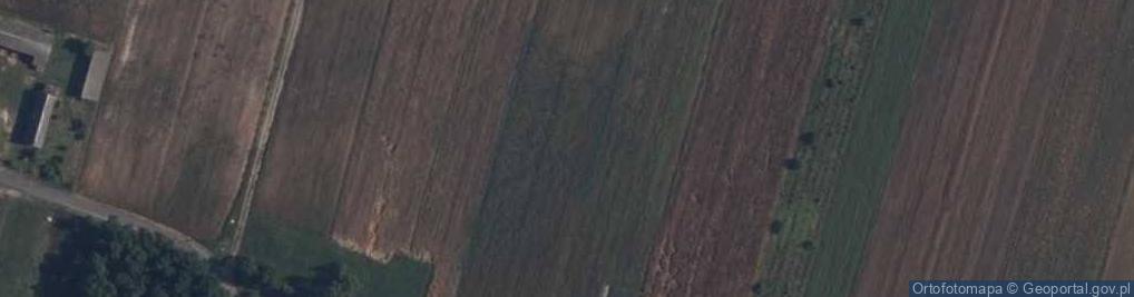 Zdjęcie satelitarne Guzów-Kolonia