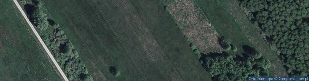 Zdjęcie satelitarne Holeszów PGR