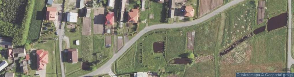 Zdjęcie satelitarne Jamnica (województwo podkarpackie)