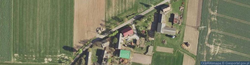 Zdjęcie satelitarne Janikowo (gmina Kruszwica)