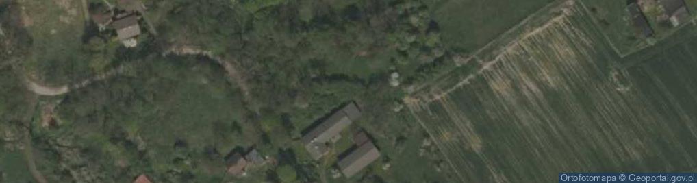 Zdjęcie satelitarne Jaśkowice (województwo śląskie)