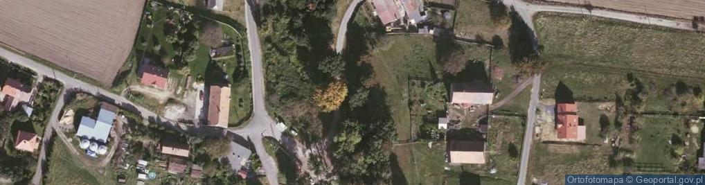 Zdjęcie satelitarne Jasna Góra (województwo dolnośląskie)
