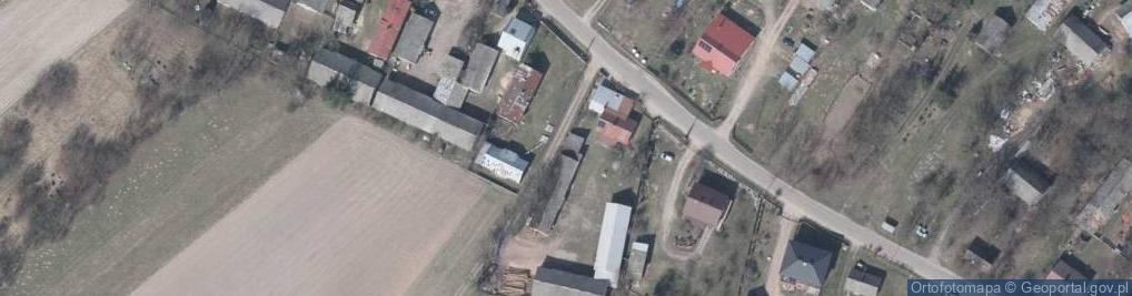 Zdjęcie satelitarne Jaźwiny (gmina Borowie)