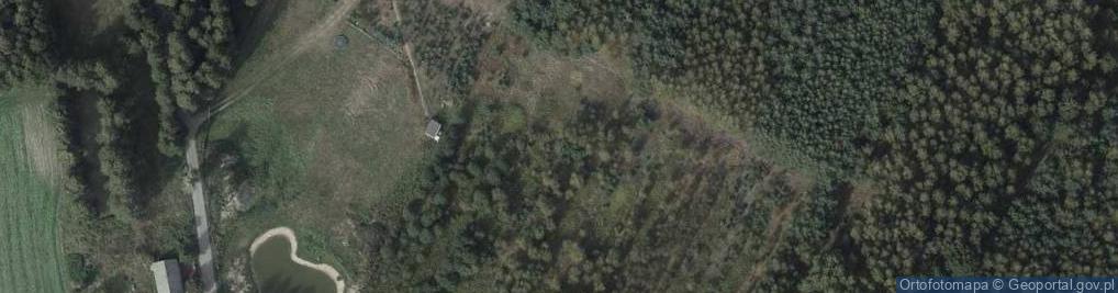 Zdjęcie satelitarne Józefowo (powiat toruński)