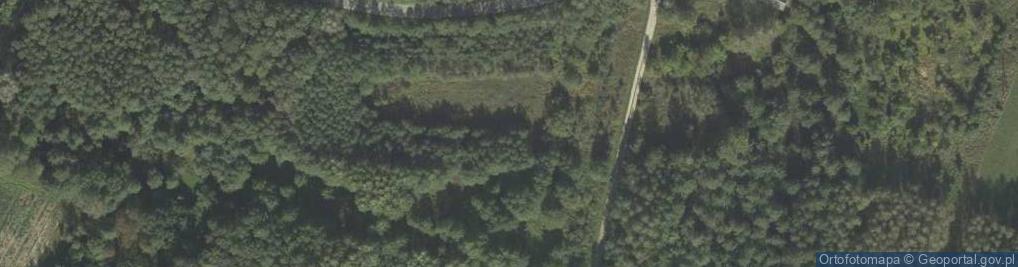 Zdjęcie satelitarne Julianów (powiat miński)