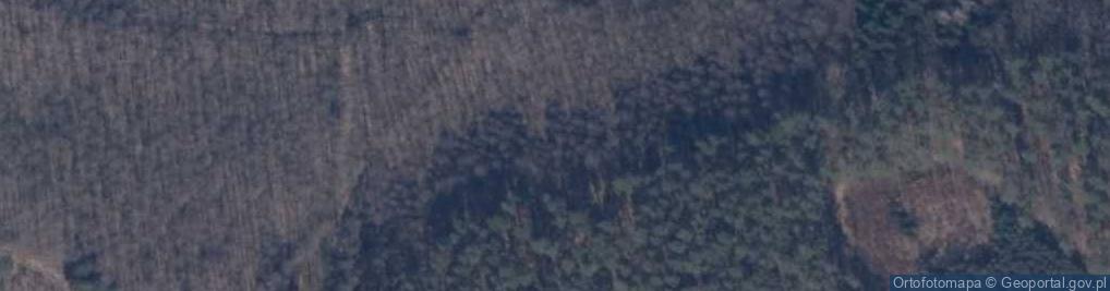 Zdjęcie satelitarne Juncewo (województwo zachodniopomorskie)