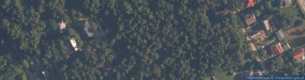 Zdjęcie satelitarne Justynów (powiat łódzki wschodni)