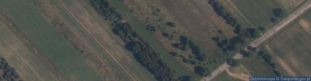 Zdjęcie satelitarne Kamieńszczyzna (województwo śląskie)