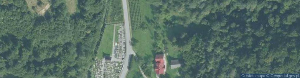 Zdjęcie satelitarne Kamionka Mała (powiat limanowski)