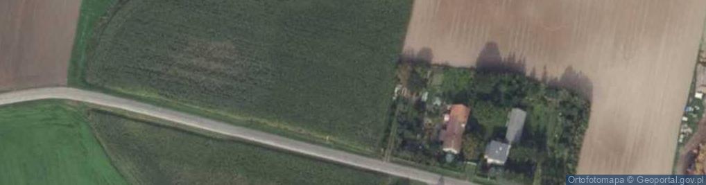 Zdjęcie satelitarne Kamionka (powiat szamotulski)