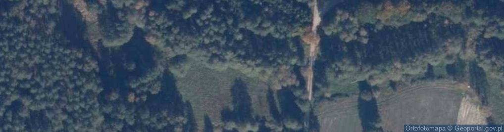 Zdjęcie satelitarne Knieja (powiat człuchowski)