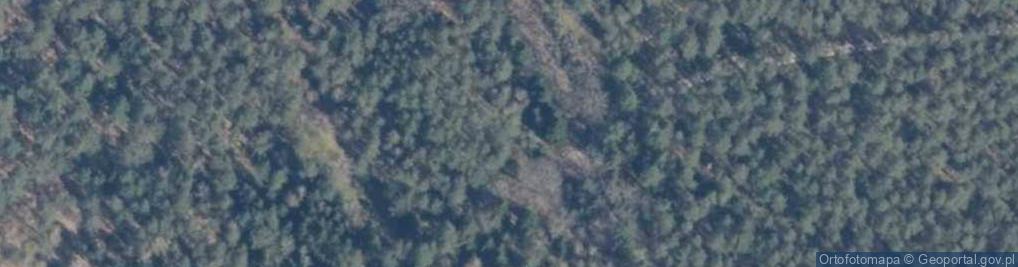 Zdjęcie satelitarne Kniężyce