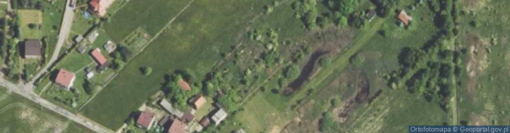Zdjęcie satelitarne Kolonia Borek
