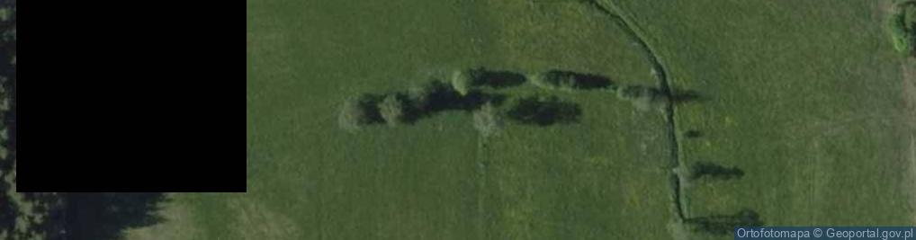 Zdjęcie satelitarne Kolonia (powiat szczycieński)