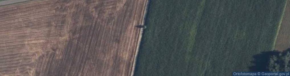 Zdjęcie satelitarne Kownatka
