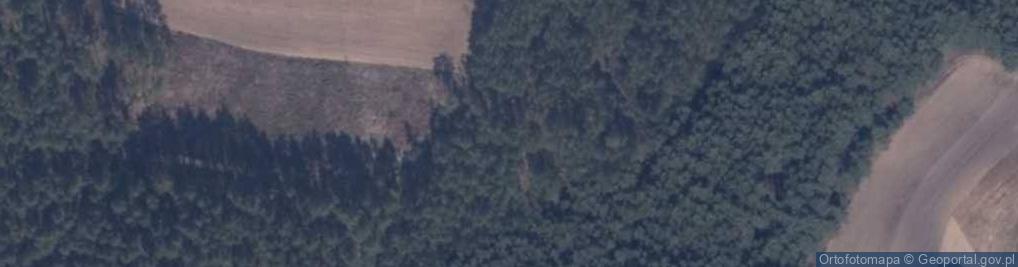 Zdjęcie satelitarne Kraklewo