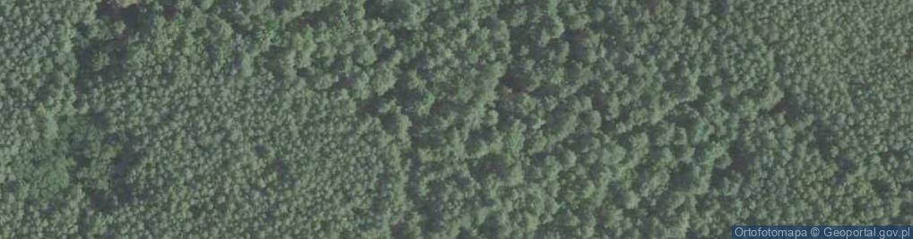 Zdjęcie satelitarne Kraśnik (województwo świętokrzyskie)
