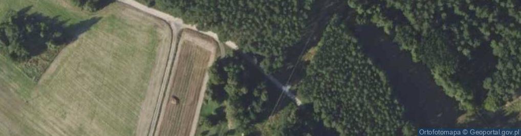 Zdjęcie satelitarne Królewskie (powiat ostrzeszowski)