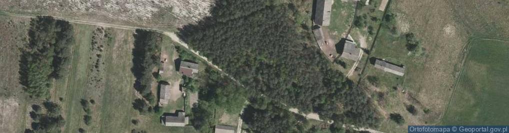 Zdjęcie satelitarne Krzaki (województwo podkarpackie)