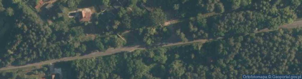 Zdjęcie satelitarne Kwiatkowice-Las