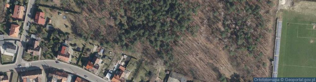 Zdjęcie satelitarne Łabędy (dzielnica Gliwic)