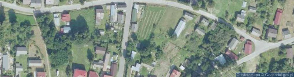 Zdjęcie satelitarne Lasocin (powiat opatowski)