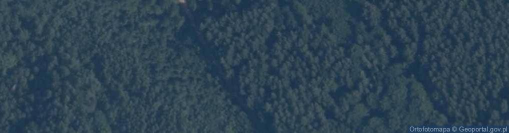 Zdjęcie satelitarne Łęczyn Dolny