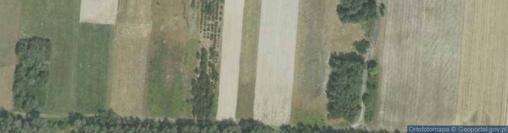 Zdjęcie satelitarne Lenartowice (województwo świętokrzyskie)