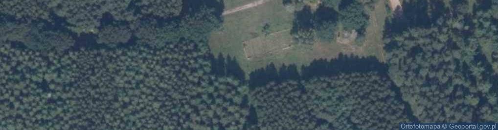 Zdjęcie satelitarne Lipnik (województwo pomorskie)