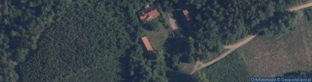 Zdjęcie satelitarne Lisie Jamy (województwo warmińsko-mazurskie)