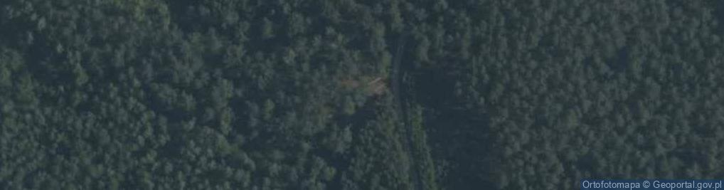 Zdjęcie satelitarne Lisy (powiat piski)
