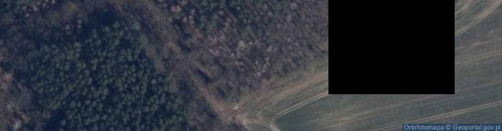 Zdjęcie satelitarne Lubie (województwo zachodniopomorskie)