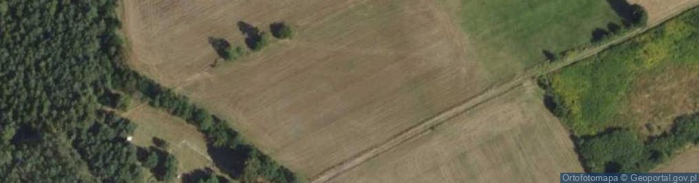 Zdjęcie satelitarne Lubień (województwo wielkopolskie)