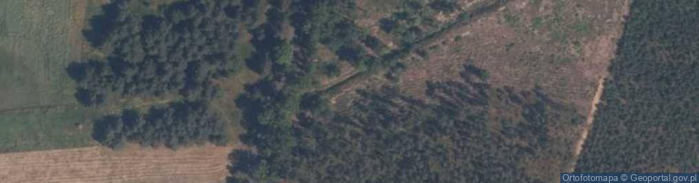 Zdjęcie satelitarne Lubnów (województwo opolskie)