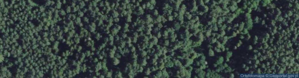 Zdjęcie satelitarne Łyński Młyn