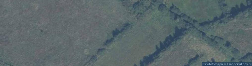 Zdjęcie satelitarne Mącznik (województwo pomorskie)