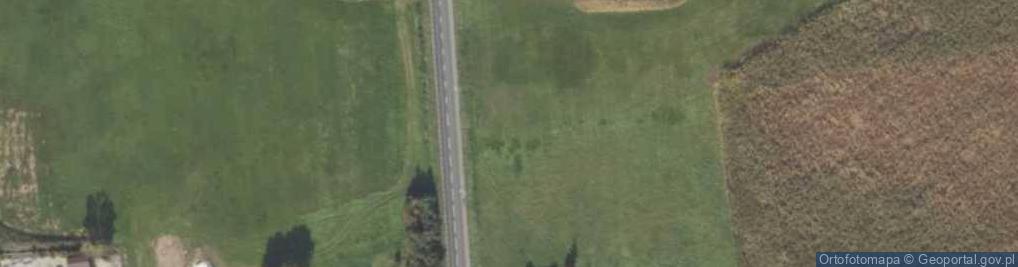Zdjęcie satelitarne Maliny (województwo wielkopolskie)