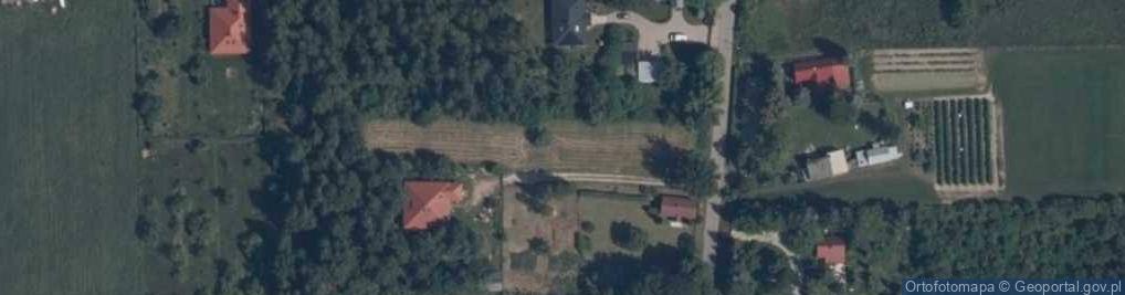 Zdjęcie satelitarne Many (województwo mazowieckie)