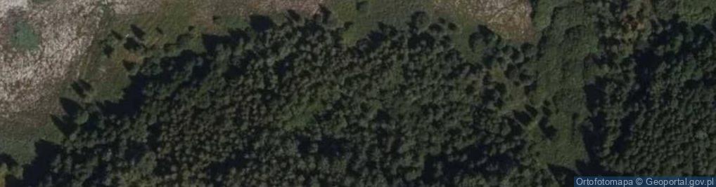 Zdjęcie satelitarne Maruszka (województwo podlaskie)