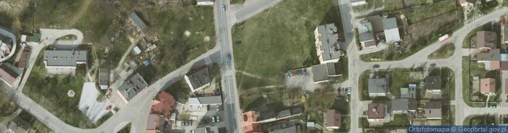 Zdjęcie satelitarne Międzybórz