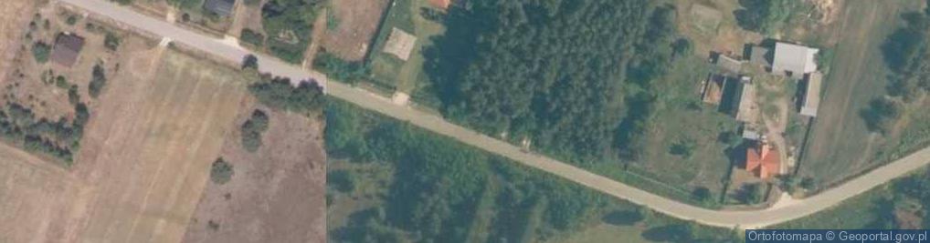 Zdjęcie satelitarne Mrowina-Kolonia