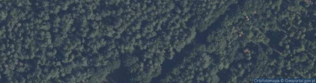 Zdjęcie satelitarne Murowaniec (województwo pomorskie)