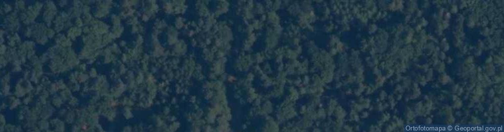 Zdjęcie satelitarne Muza (województwo pomorskie)