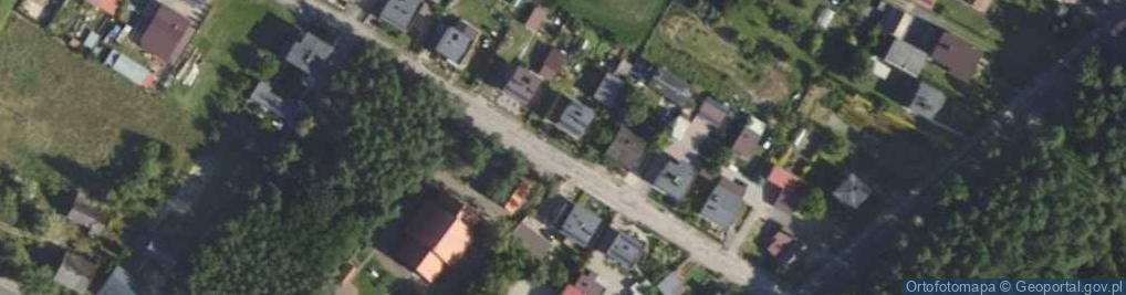 Zdjęcie satelitarne Niedźwiedź (województwo wielkopolskie)
